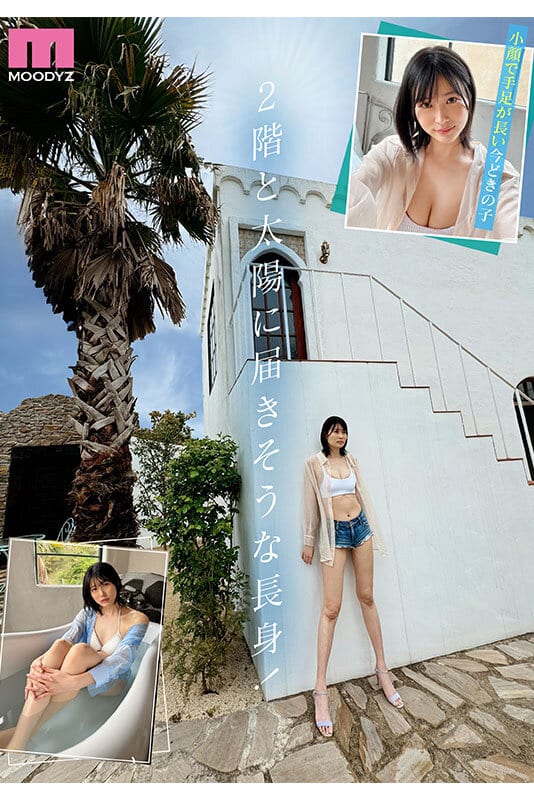 หนังjav สาวขายาวตัวแม่เดบิวต์ครั้งแรกเย็ดสดแบบปังๆ MIDV-864 3